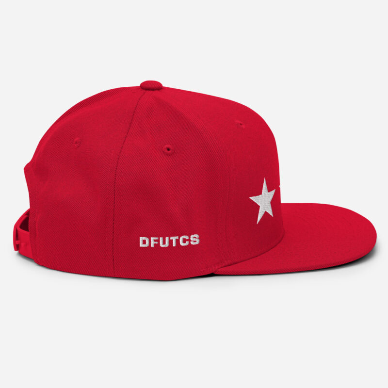 3 Stars DFUTCS Snapback Hat (DC) - Image 6